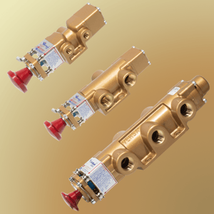 Lock_out_valves